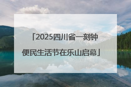 2025四川省一刻钟便民生活节在乐山启幕