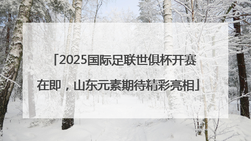 2025国际足联世俱杯开赛在即，山东元素期待精彩亮相