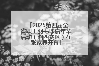 2025第四届全省职工羽毛球嘉年华活动（湘西赛区）在张家界开幕