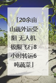 20余亩山蔬外运受阻 无人机极限飞行8小时转运6吨蔬菜