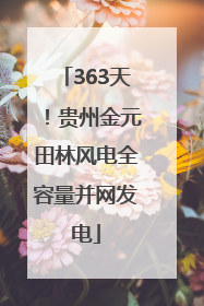 363天！贵州金元田林风电全容量并网发电
