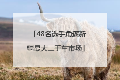 48名选手角逐新疆最大二手车市场