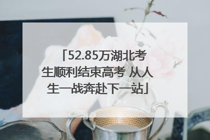 52.85万湖北考生顺利结束高考 从人生一战奔赴下一站