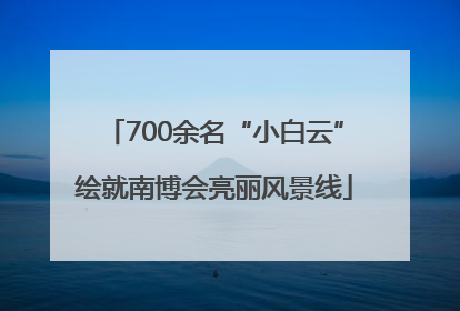 700余名“小白云”绘就南博会亮丽风景线