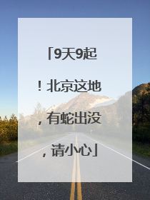 9天9起！北京这地，有蛇出没，请小心