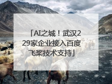 AI之城！武汉229家企业接入百度飞桨技术支持