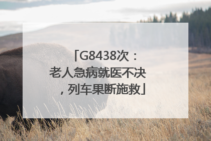 G8438次：老人急病就医不决，列车果断施救