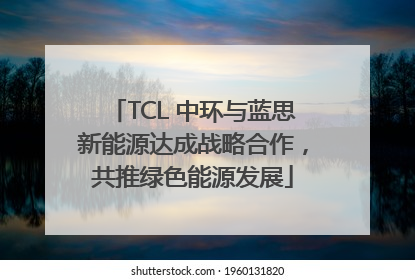 TCL 中环与蓝思新能源达成战略合作，共推绿色能源发展